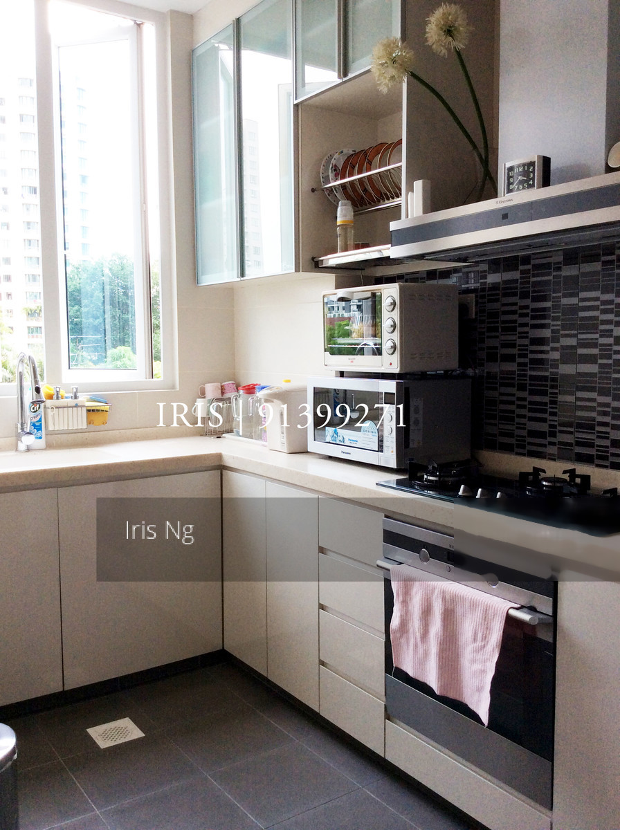 Ritz Regency (D15), Apartment #124692392